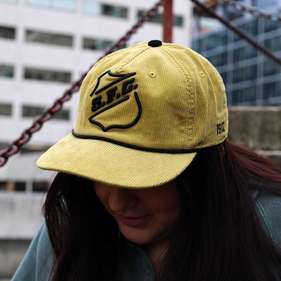 santos f.c. + pele shop