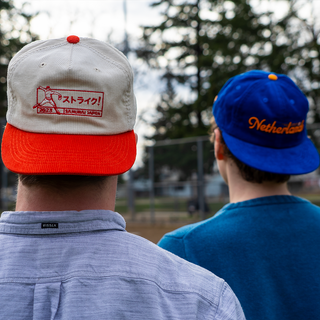 the [ official ] international baseball collection