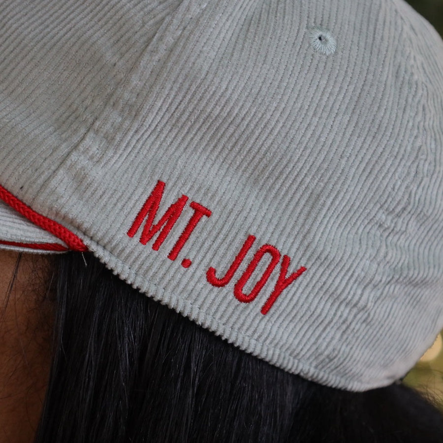 [ mt. joy x fightin phils ] grey cord