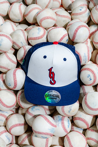 [ Brantley Gilbert x Gwinnett Stripers ] Fish Hook Driver