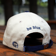 [ asheville city sc ] blue ridge mountains - Official League