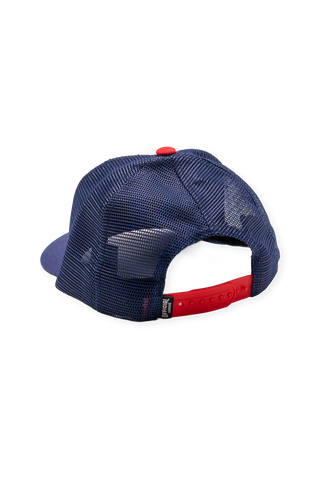 [ Brantley Gilbert x Gwinnett Stripers ] Fish Hook Driver