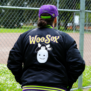 [ dinosaur jr. x worcester red sox ] the satin