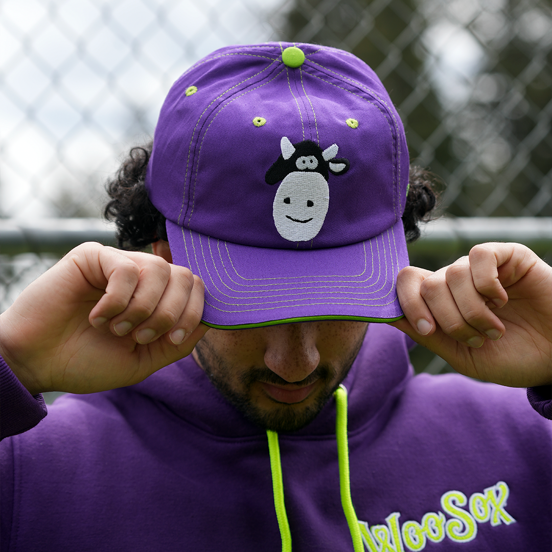 [ dinosaur jr. x worcester red sox ] the poppy