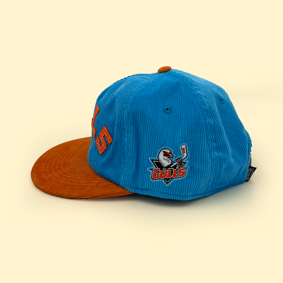 [ san diego gulls ] icy blue