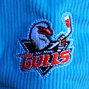 [ san diego gulls ] icy blue