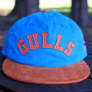 [ san diego gulls ] icy blue