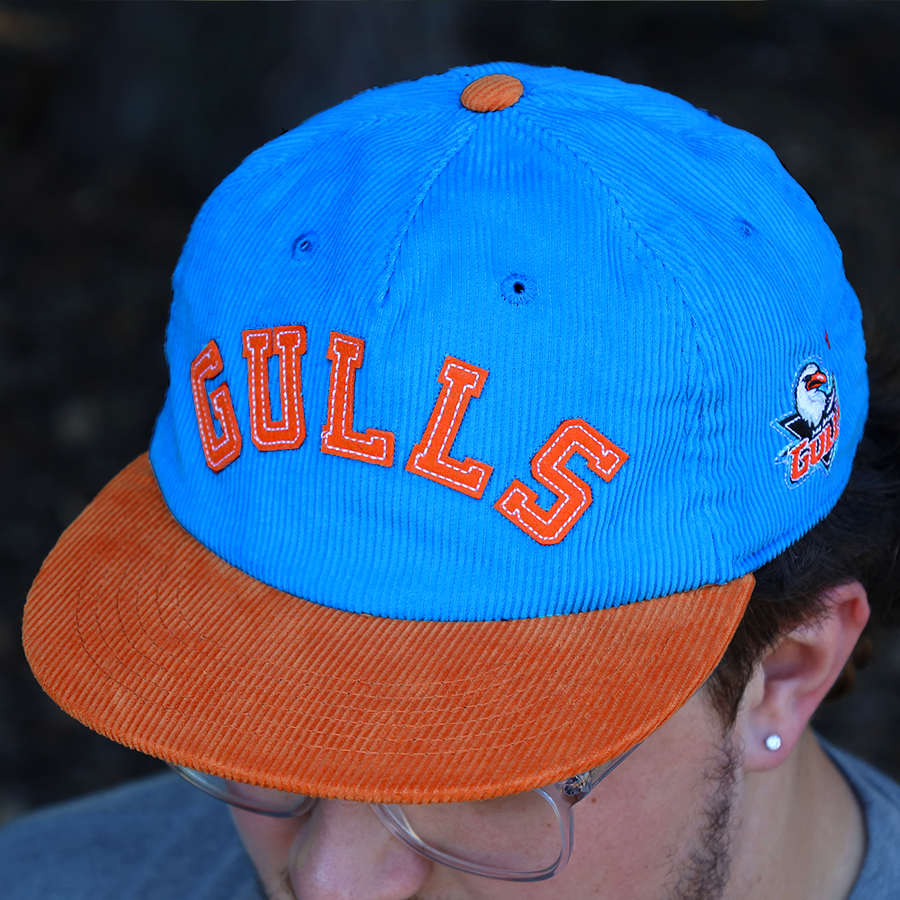 [ san diego gulls ] icy blue