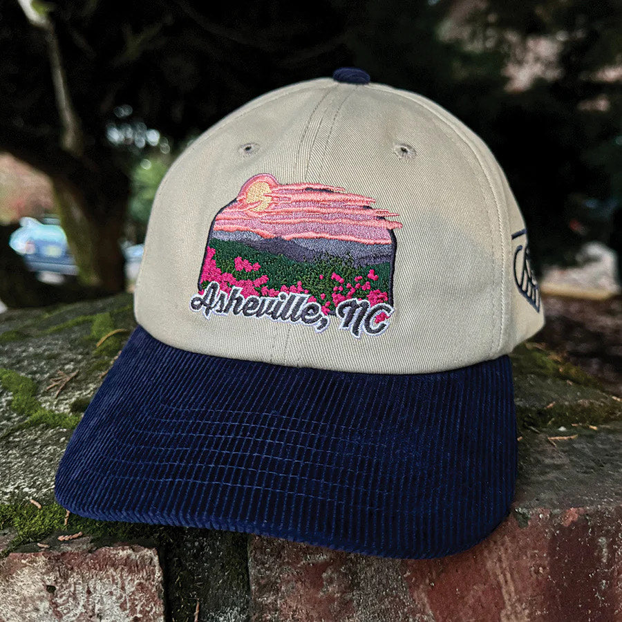 [ asheville city sc + tourists ] wnc strong