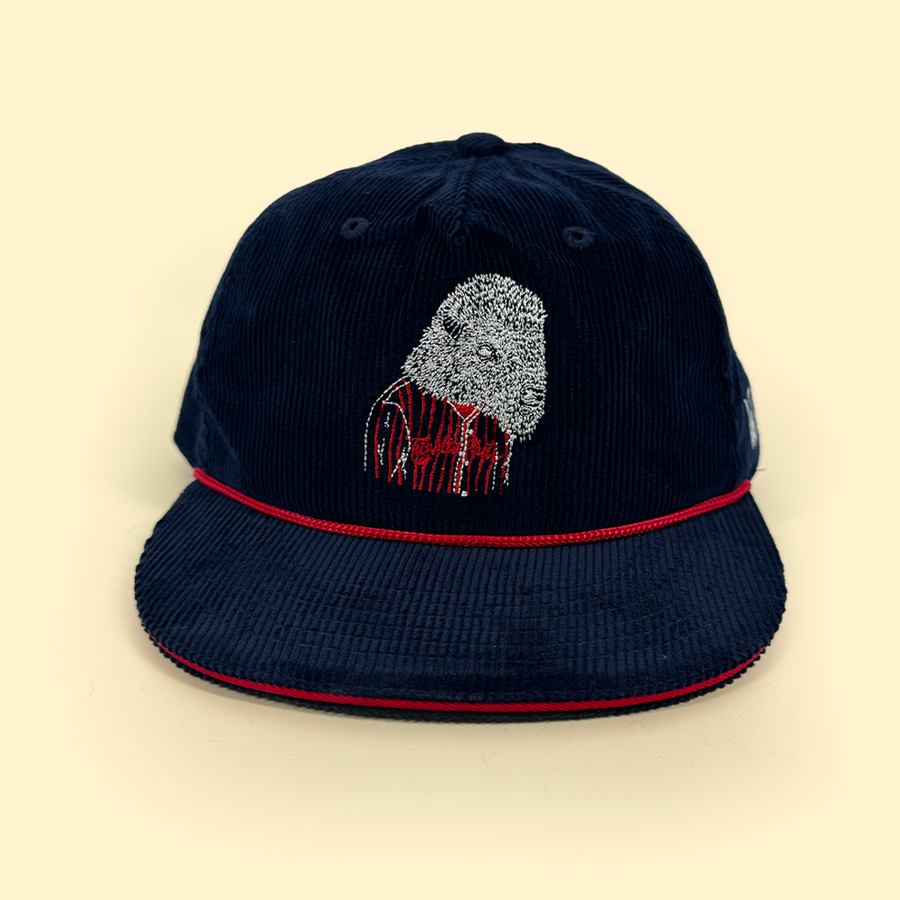 [ mt. joy x fightin phils ] navy cord