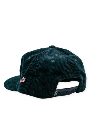 [ Asheville Tourists ] Ted E. Tourist Signature Cord - Official League