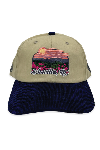 [ asheville city sc + tourists ] wnc strong