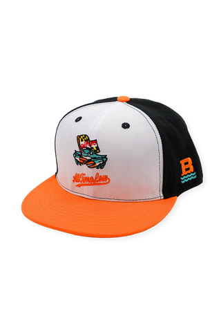 [ All Time Low x Chesapeake Baysox ] Maryland Natural