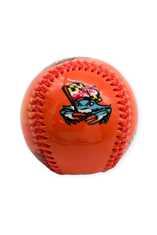 [ All Time Low x Chesapeake Baysox ] Chesapeake Orange Baseball - Official League