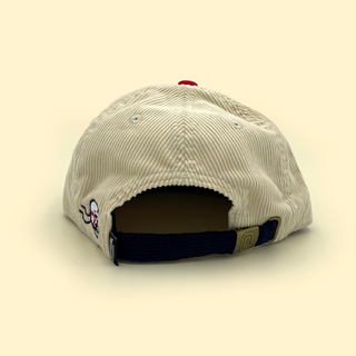[ st. louis ] for the birds