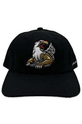 [ grand rapids griffins ] black ice