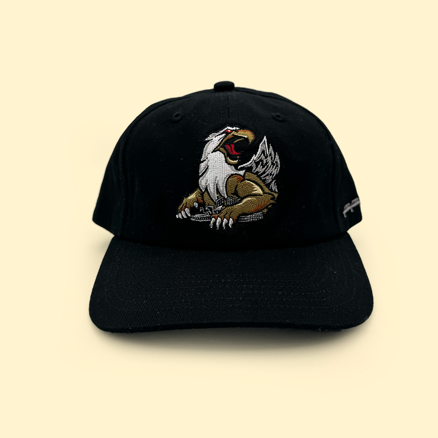 [ grand rapids griffins ] black ice