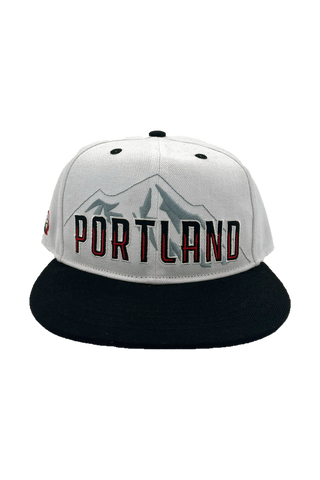 [ portland winterhawks ] mountain snapback - Official League