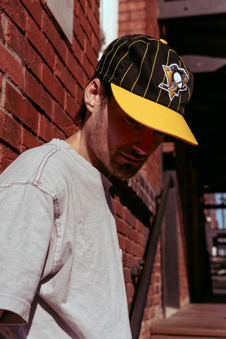 Pittsburgh Penguins Pinstripe Natural lifestyle photograph