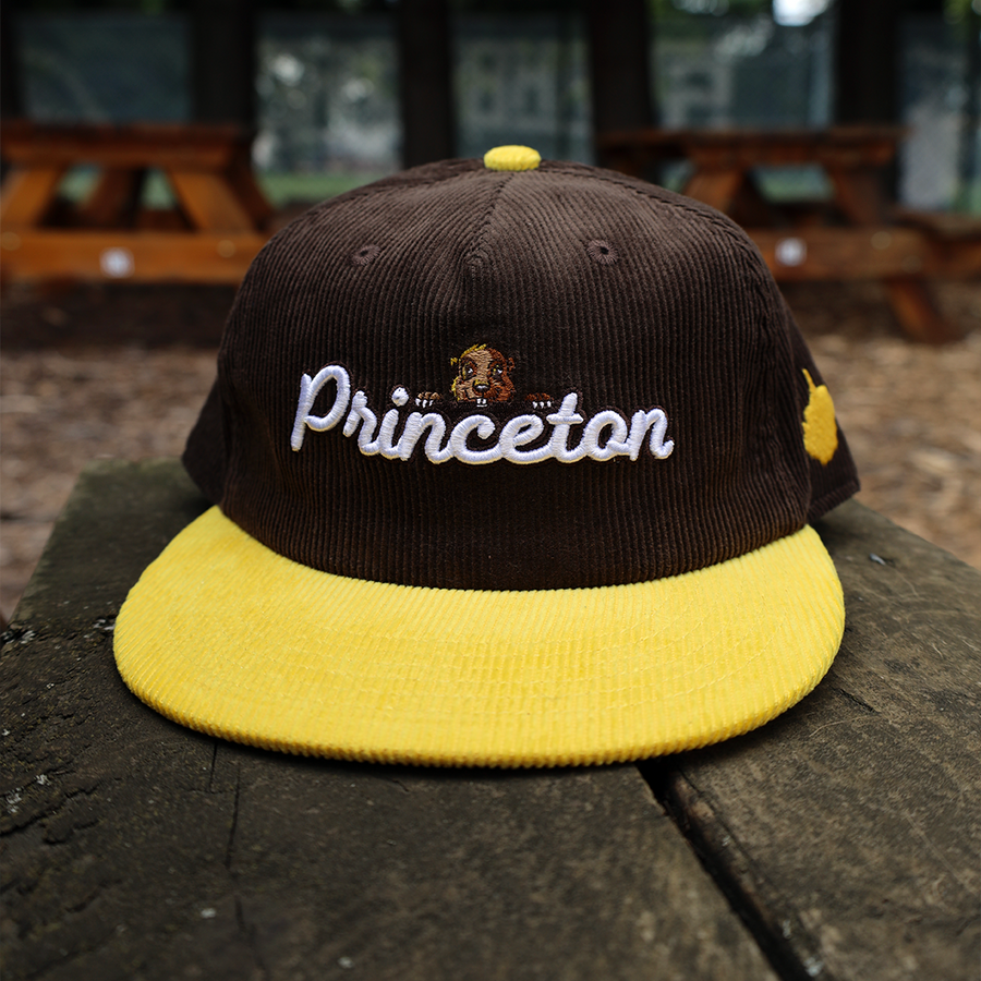 Princeton baseball cap sales