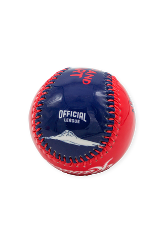 The Head and the Heart x Tacoma Rainiers Evergreen Baseball