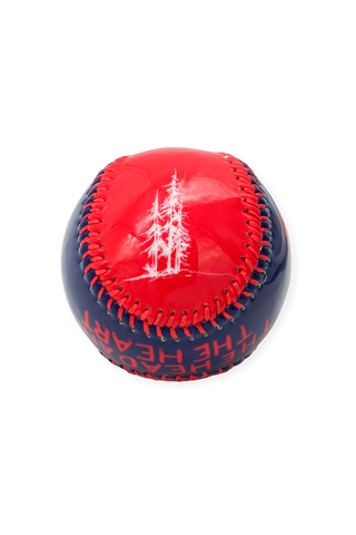 The Head and the Heart x Tacoma Rainiers Evergreen Baseball