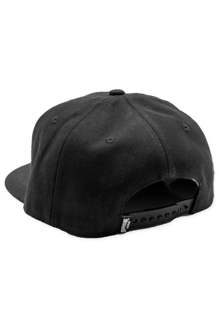 Portland Winterhawks Script Hat back product photo