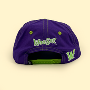 [ dinosaur jr. x worcester red sox ] the poppy