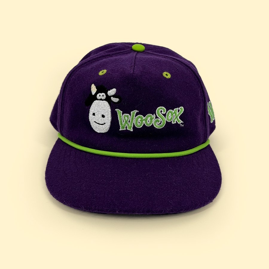 [ dinosaur jr. x worcester red sox ] the wooly