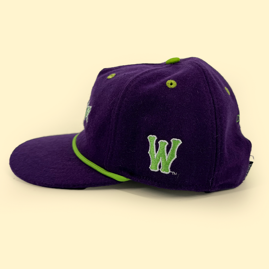 [ dinosaur jr. x worcester red sox ] the wooly