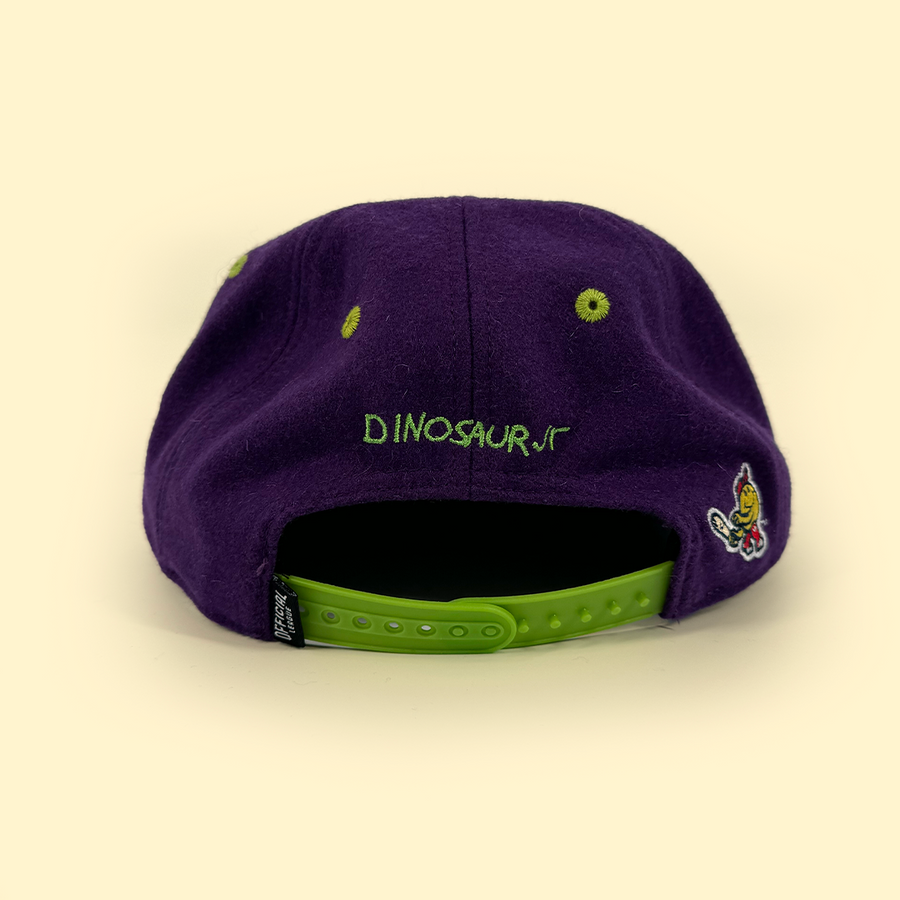 [ dinosaur jr. x worcester red sox ] the wooly