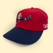 [ springfield lucky horseshoes ] capitals mr. baseball - Official League