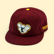 [ brisbane fc ] angry koala wool hat - Official League