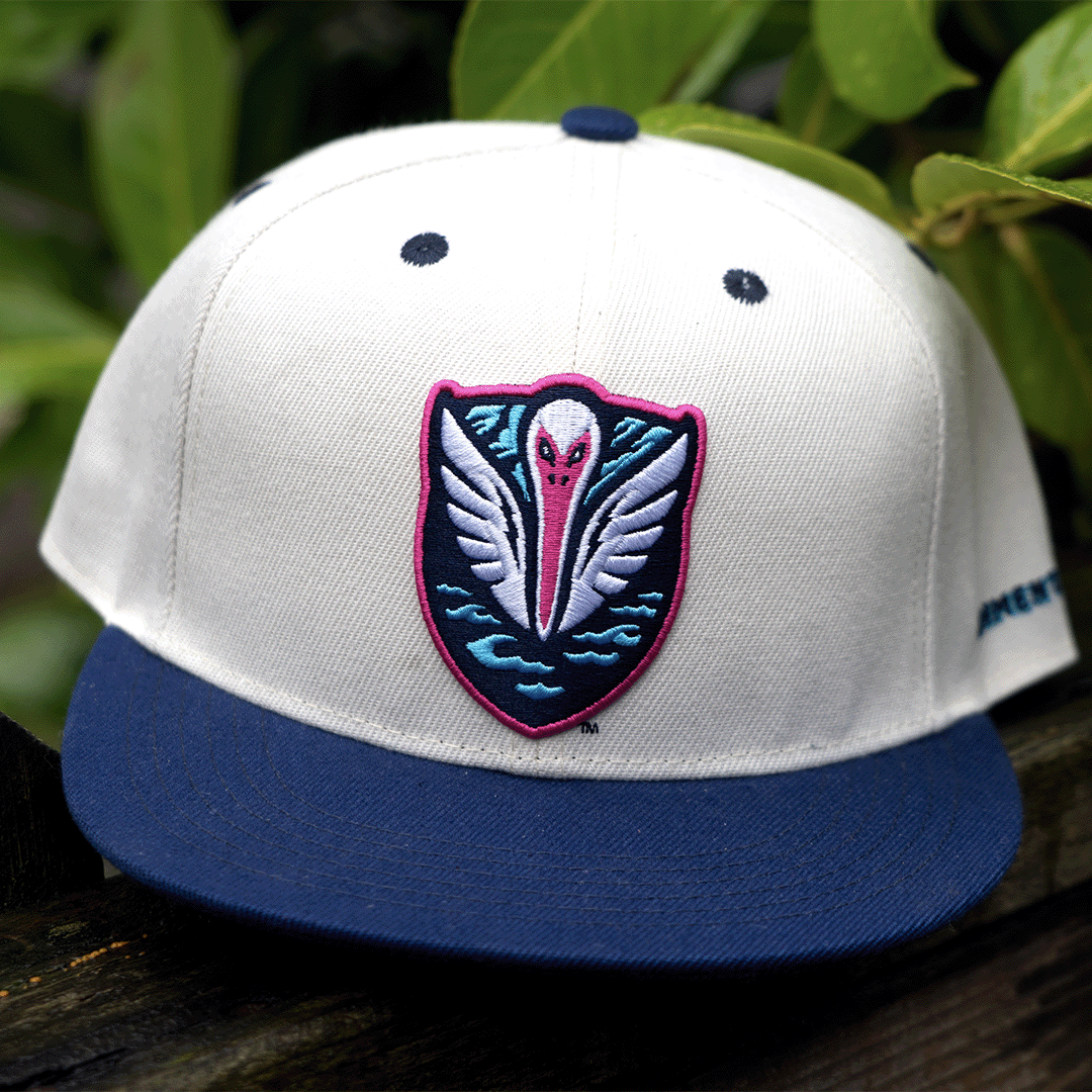 [ tormenta fc ] classy canvas - Official League